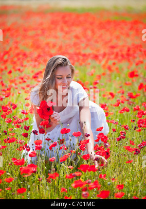 Woman picking poppies in field Banque D'Images