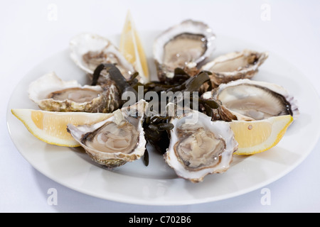 Portrait d'une assiette d'huîtres Banque D'Images