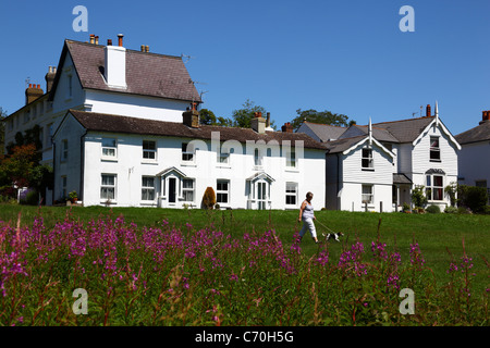 Dame promenant un chien devant le Willowherb (Epilobium angustifolium) de Rosebay et des chalets sur Southborough Common, Kent, Angleterre Banque D'Images