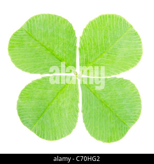 Trèfle à quatre feuilles shamrock Banque D'Images