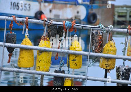 Bateaux de pêche du pétoncle a accosté à Digby, en Nouvelle-Écosse, Canada. Banque D'Images