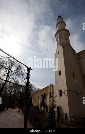 Minaret de la grande mosquée de Bruxelles Banque D'Images