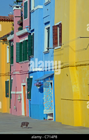 Chalets aux couleurs vives, Burano, Venise, Italie Banque D'Images