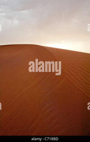 Les dunes de sable du Sahara de l'Erg Chigaga, dans le sud du Maroc. Banque D'Images