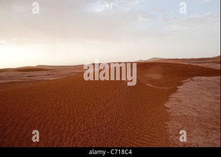 Les dunes de sable du Sahara de l'Erg Chigaga, dans le sud du Maroc. Banque D'Images