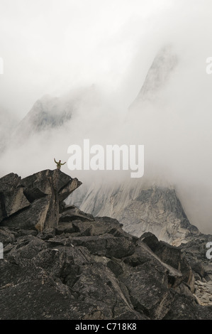 Homme avec les bras tendus debout sur un éperon rocheux dans le parc provincial de Bugaboo spire, Radium, British Columbia, Canada. Banque D'Images