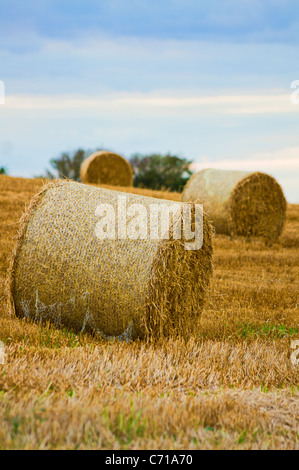 Hay bails laminées près de coucher du soleil sur une colline avec un ciel coloré Banque D'Images
