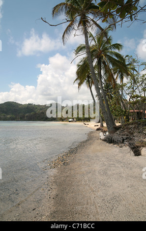 Plage tropicale ensoleillée sur la Costa Arriba de Colon, Panama, dans la mer des Caraïbes, Punta Manzanillo. Banque D'Images