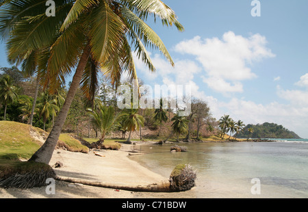 Plage tropicale ensoleillée sur la Costa Arriba de Colon, Panama, dans la mer des Caraïbes, Punta Manzanillo. Banque D'Images