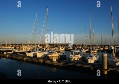 La voile des bateaux amarrés dans le port d'Ars en Ré, Charente Maritime au lever du soleil à l'ouest de la France, Ministère Banque D'Images