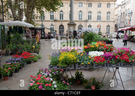 Marché aux fleurs à la place de l'Hôtel de Ville, Aix-en-Provence, France Banque D'Images