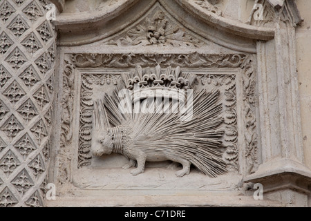 Le porc-épic symbole de Louis XII sur la façade du château du Blois BLOIS, France Banque D'Images