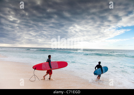 2 longboard surfers dans l'eau à Hawaii. Banque D'Images