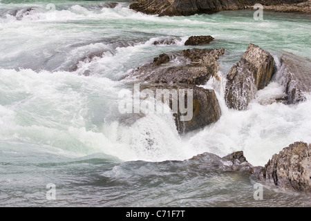 Rapides sur la rivière Kicking Horse près du pont naturel dans le parc national Yoho, Colombie-Britannique, Canada. Banque D'Images