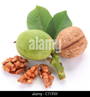 Noix verte et de noix décortiquées ; ses grains. Isolé sur un fond blanc. Banque D'Images