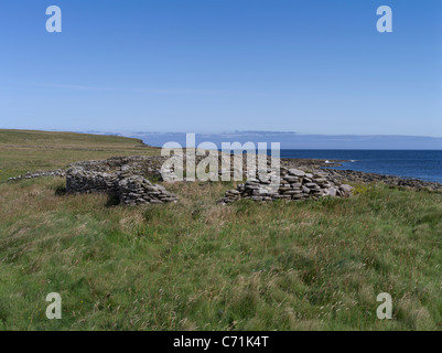 Hundland dh PAPA ORKNEY WESTRAY enceintes en pierre sèche par coast Banque D'Images