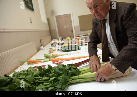 Sélection dans le village Kinghorn de légumes et de fleurs. Banque D'Images