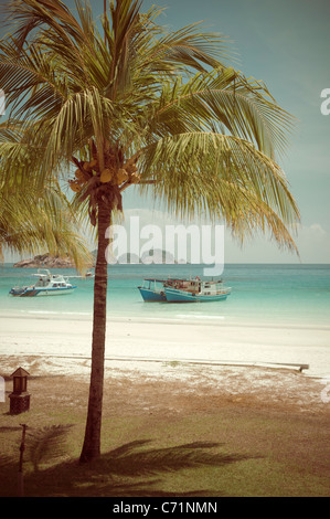 Plage avec des palmiers, regard nostalgique, Pulau Redang Island, Malaisie, Asie du Sud, Asie Banque D'Images