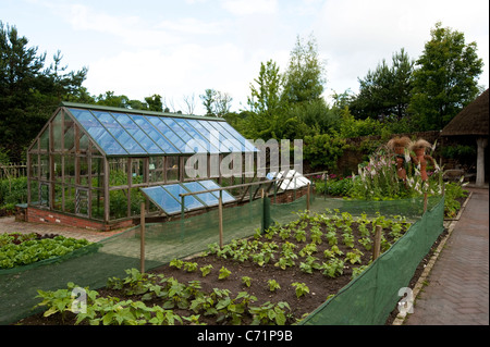 Le Jardin des Fruits et légumes en juin, RHS Rosemoor, Angleterre, Royaume-Uni Banque D'Images