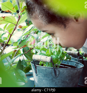 Petite fille qui sent le basilic plante Banque D'Images