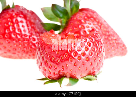 Mordu de fraise, isolated on white Banque D'Images