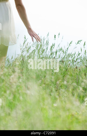 Jeune femme marchant à travers les hautes herbes, cropped Banque D'Images