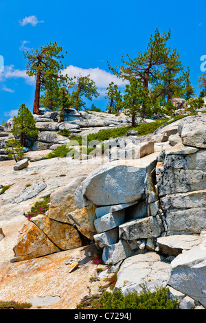 Les glaciers de montagne aux côtés de Tioga Road, Yosemite National Park, USA. JMH5274 Banque D'Images