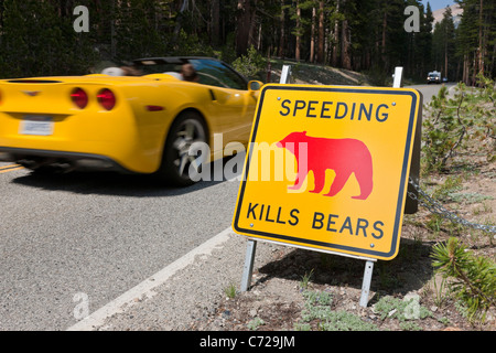 Voiture sport jaune passé • Dépassait la vitesse tue signe des ours aux côtés de Tioga Road, Yosemite National Park, USA. JMH5293 Banque D'Images