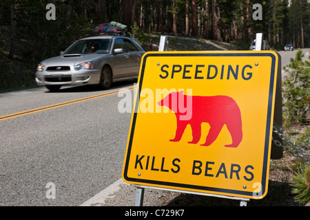 Silver car passé • Dépassait la vitesse tue Bears' signer aux côtés de Tioga Road, Yosemite National Park, USA. JMH5294 Banque D'Images