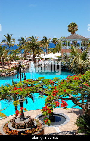 Flame Tree avec des fleurs rouges (Delonix regia) proche piscine, restaurant en plein air à l'hôtel de luxe, l'île de Ténérife, Espagne Banque D'Images