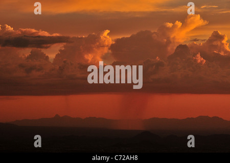 Une douche à effet pluie au coucher du soleil vu de Windy Point, le Mont Lemmon, Coronado National Forest, désert de Sonora, Tucson, Arizona, USA. Banque D'Images