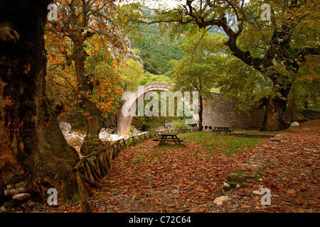 Pyli vieux pont voûté en pierre, également appelé "Porta Panagia' Bridge, près de Kos Town, Trikala, Thessalie, Grèce. Banque D'Images