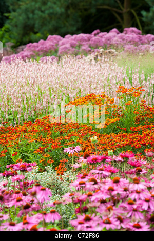 Le Millenium à Pensthorpe Jardin nature reserve, Norfolk, UK, a été conçu par Piet Oudolf, Banque D'Images