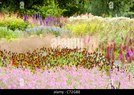 Le Millenium à Pensthorpe Jardin nature reserve, Norfolk, UK, a été conçu par Piet Oudolf, Banque D'Images