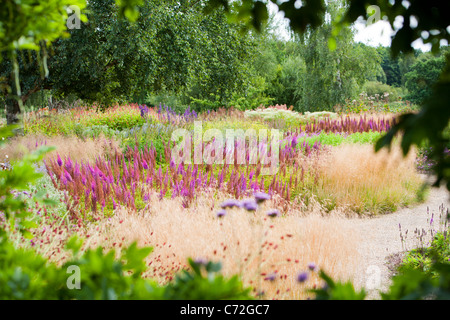 Le Millenium à Pensthorpe Jardin nature reserve, Norfolk, UK, a été conçu par Piet Oudolf, Banque D'Images