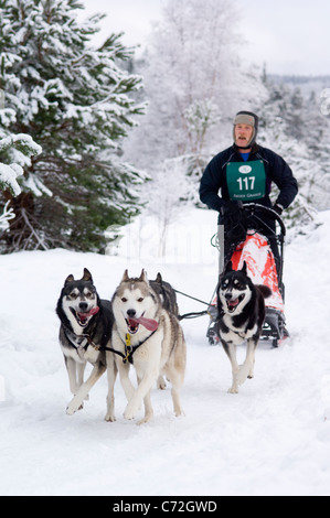 Courses de chiens de traîneau dans Glenmore Forest, Aviemore. Husky de Sibérie (2010) Rallye du Club Banque D'Images