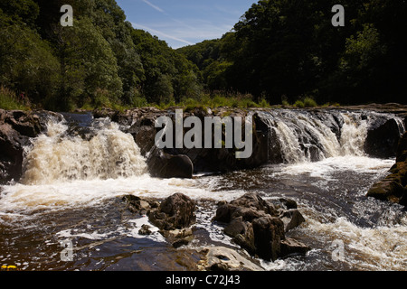 Cenarth Falls, Ceredigion, West Wales, UK Banque D'Images