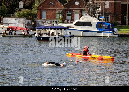 David Walliams Charité Secours Sport nager le long de la Tamise à Hampton Molesey Surrey England UK. Septembre 2011. Banque D'Images