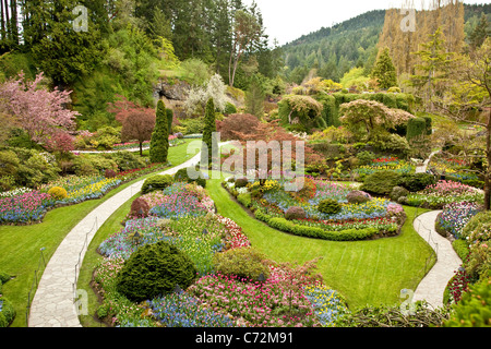 Jardin en contrebas. Au printemps les Jardins Butchart. Victoria, BC, Canada Banque D'Images