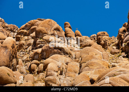 Les Alabama Hills, près de Lone Pine, en Californie, USA. JMH5334 Banque D'Images