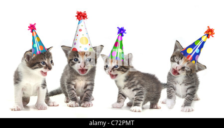 Chatons chantant sur un fond blanc avec des chapeaux d'anniversaire Banque D'Images