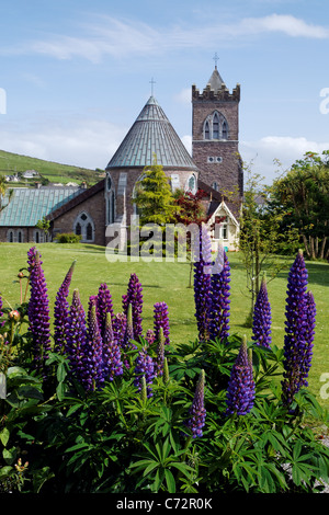 Eglise St Mary et jardins de fleurs, Dingle (An Daingean), Péninsule de Dingle, comté de Kerry, Irlande Banque D'Images