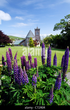 Eglise St Mary et jardins de fleurs, Dingle (An Daingean), Péninsule de Dingle, comté de Kerry, Irlande Banque D'Images