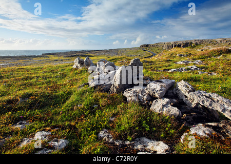 Restes de mur de pierre dans le pré donnant sur l'océan Atlantique, Tête noire, le Burren, comté de Clare, Irlande Banque D'Images