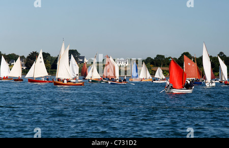 Flottille de petits navires à voile, régate, d'événements maritimes : semaine du golfe du Morbihan (Bretagne, France). Banque D'Images