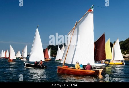 Flottille de petits navires à voile, régate, d'événements maritimes : semaine du golfe du Morbihan (Bretagne, France). Banque D'Images