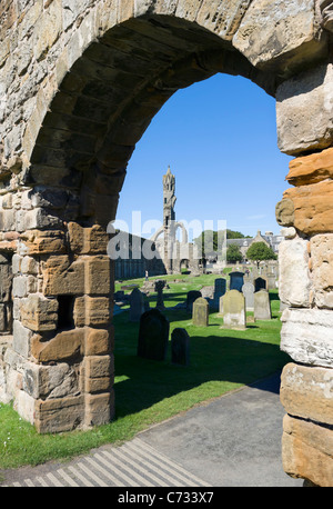 Ruines de la cathédrale de St Andrews, St Andrews, Fife, Scotland, UK Banque D'Images
