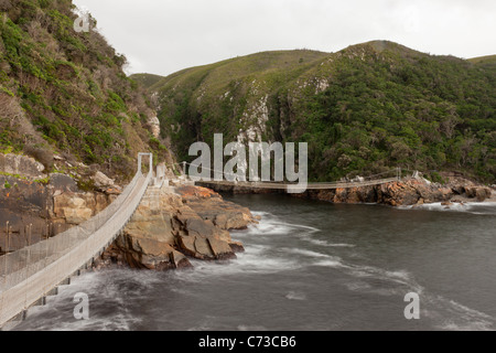 Pont suspendu au-dessus de l'embouchure de la rivière de la tempête dans la région de Tsitsikamma National Park, Afrique du Sud. Banque D'Images