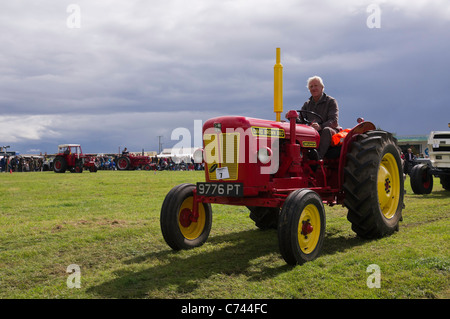 Tracteur David Brown 880 Implematic photographié dans le défilé à Salon de l'agriculture, 2011 Wensleydale Banque D'Images