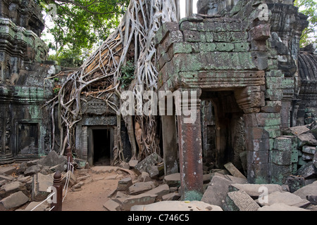 Ta Prohm temple Angkor Cambodge Banque D'Images